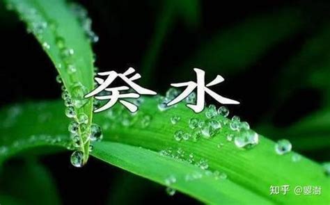 癸水身強|日干癸水特性